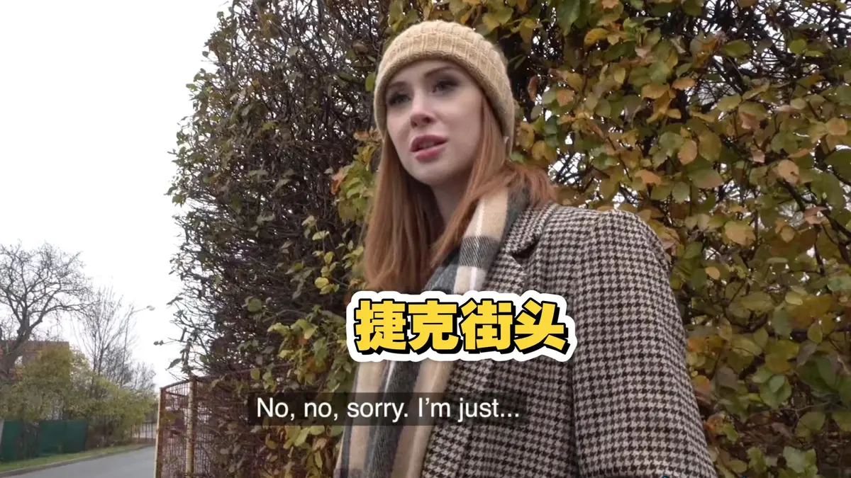 2025电影《捷克街头钞能力搭讪系列》免费在线观看完整版高清全集资源-无广告在线观看-小小影院VS影视