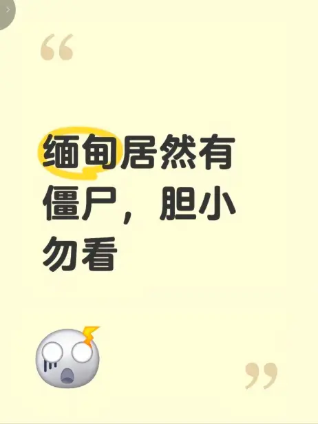 《缅甸僵尸出土事件》高清完整版在线观看 - 缅北神秘事件视频全程揭秘 - 无删减免费播放真相