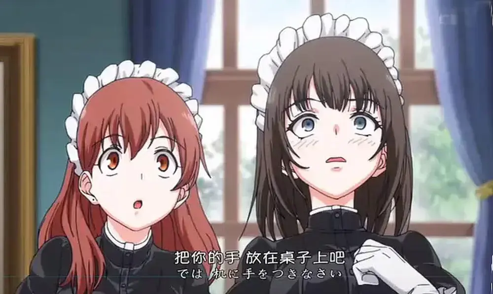 《女仆教育》动漫全集在线观看-无广告高清中字完整版-VS动漫资源