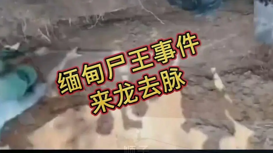 《缅甸僵尸出土事件视频》完整版在线观看免费播放 - 缅北僵尸出土事件始末原视频高清下载资源，超清未删减全程录像